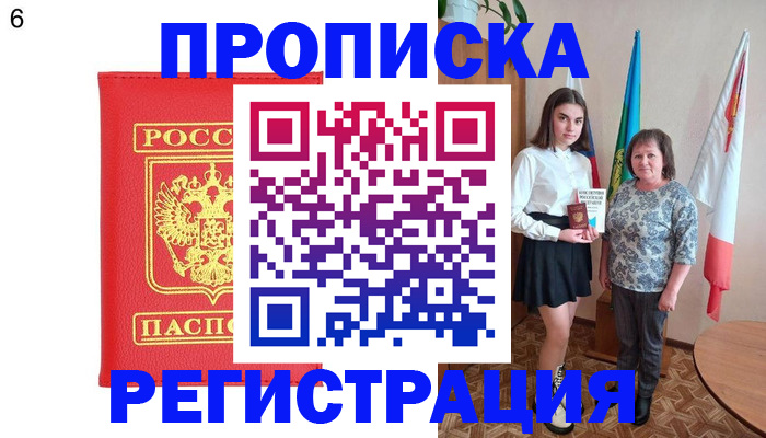 временная регистрация поиск в Долгопрудном